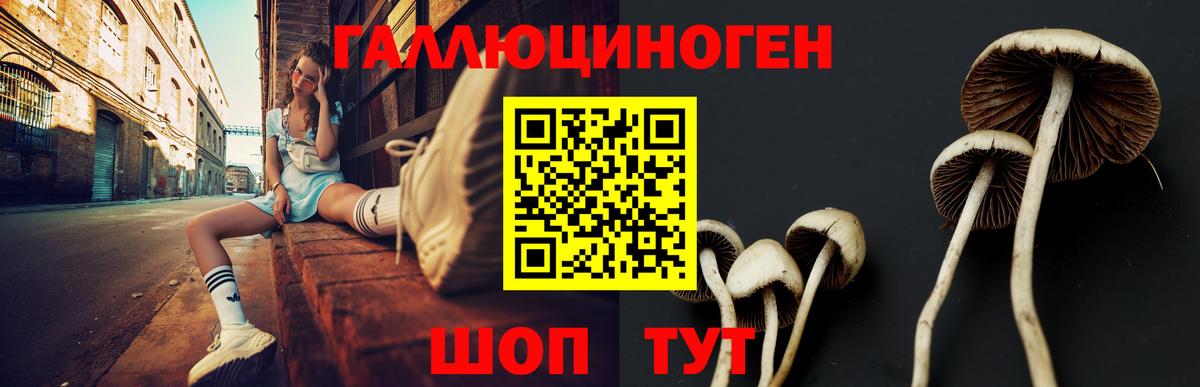 Краснознаменск  Псилоцибиновые грибы мицелий  Псилоцибиновые грибы Psilocybe  наркотики  Вход с VPN 